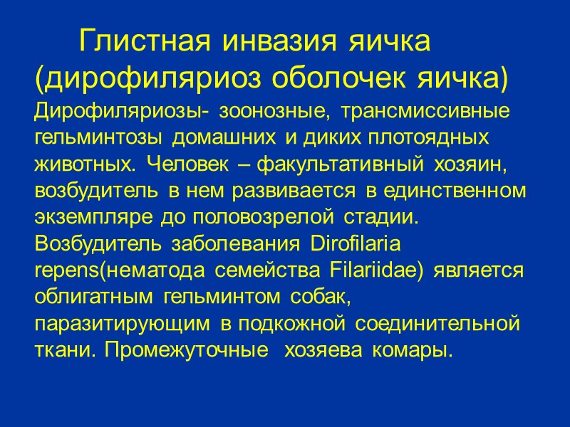 Перекрут яичка При пальпации выявляется необычное положение яичка: оно подтянуто к корню мошонки, расположено